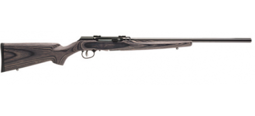 Savage A17 Target Sporter Laminate .17 HMR 22" Barrel Semi Auto Rimfire Rifle